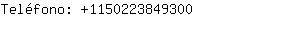 Teléfono: 115022384....