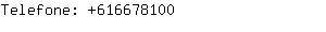 Telefone: 61667....