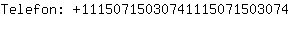 Telefon: 1115071503074111507150....