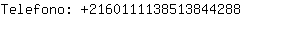 Telefono: 216011113851384....