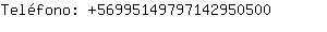Telfono: 5699514979714295....