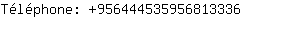 Tlphone: 95644453595681....