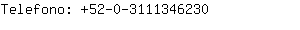 Telefono: 52-0-311134....