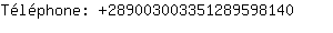 Tlphone: 28900300335128959....