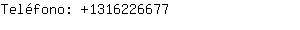 Teléfono: 131622....