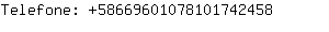 Telefone: 5866960107810174....