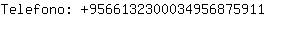 Telefono: 956613230003495687....