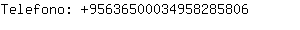 Telefono: 9563650003495828....