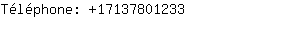 Téléphone: 1713780....