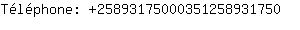 Tlphone: 2589317500035125893....