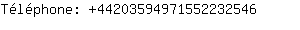 Tlphone: 4420359497155223....