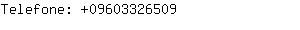 Telefone: 0960332....