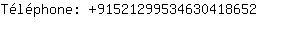Tlphone: 9152129953463041....
