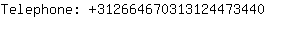 Telephone: 31266467031312447....