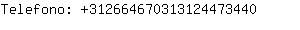 Telefono: 31266467031312447....