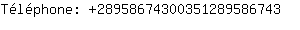 Tlphone: 2895867430035128958....