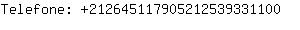 Telefone: 21264511790521253933....