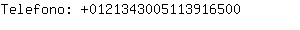 Telefono: 012134300511391....