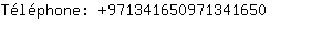 Tlphone: 97134165097134....