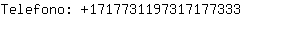 Telefono: 171773119731717....