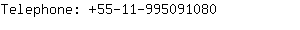 Telephone: 55-11-99509....