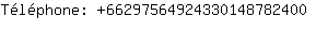 Tlphone: 6629756492433014878....