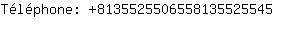 Tlphone: 813552550655813552....