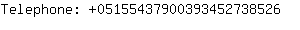 Telephone: 0515543790039345273....