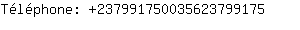 Tlphone: 23799175003562379....