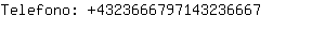 Telefono: 432366679714323....