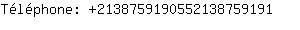 Tlphone: 213875919055213875....