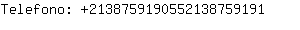 Telefono: 213875919055213875....