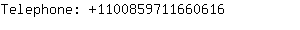 Telephone: 110085971166....