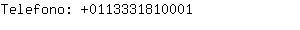 Telefono: 011333181....
