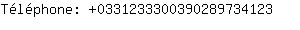 Tlphone: 033123330039028973....