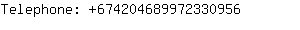 Telephone: 67420468997233....