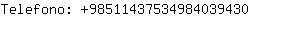 Telefono: 9851143753498403....