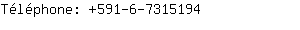 Tlphone: 591-6-731....