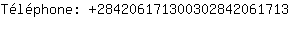 Tlphone: 28420617130030284206....