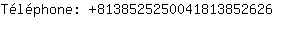 Tlphone: 813852525004181385....