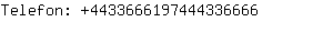 Telefon: 443366619744433....