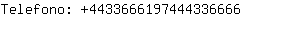 Telefono: 443366619744433....