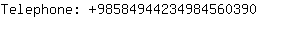 Telephone: 9858494423498456....