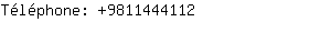 Téléphone: 981144....