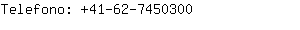 Telefono: 41-62-745....