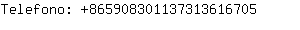 Telefono: 86590830113731361....