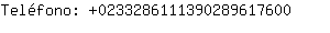 Telfono: 023328611139028961....
