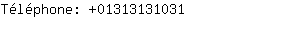 Téléphone: 0131313....