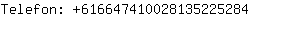 Telefon: 61664741002813522....