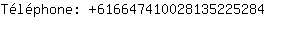 Téléphone: 61664741002813522....